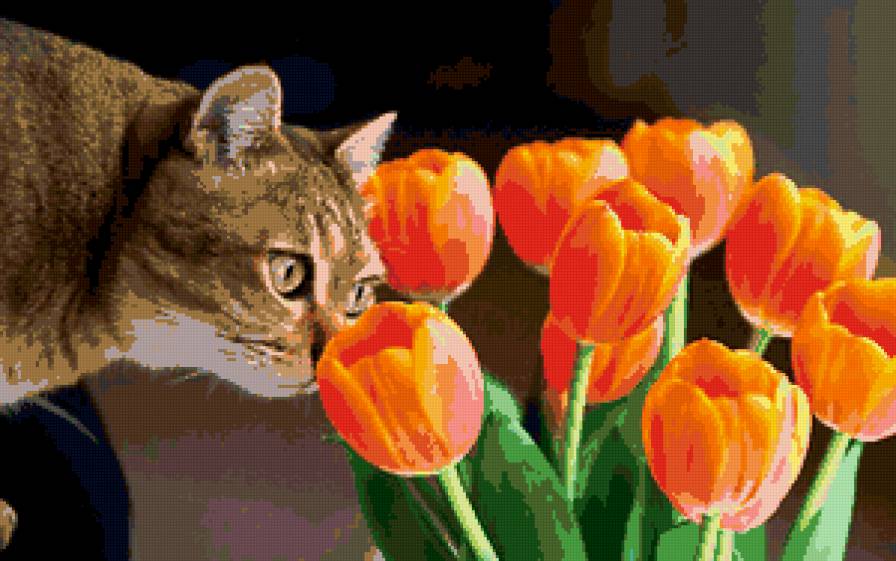 как интересно - кошки - предпросмотр