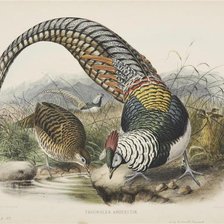 Схема вышивки «птицы»