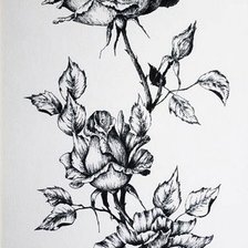 Схема вышивки «rozu»