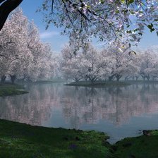 Схема вышивки «Цветущая сакура»