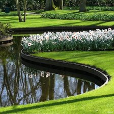 Схема вышивки «нарциссы»