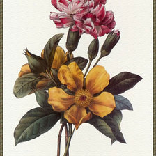 Схема вышивки «букет»