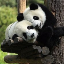 Схема вышивки «панды»