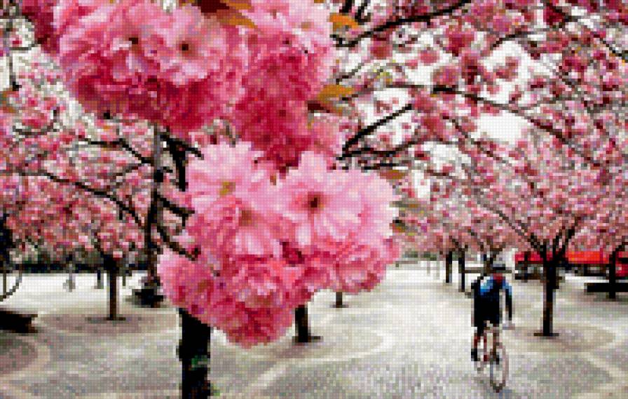 цветы - цветы, вишня - предпросмотр