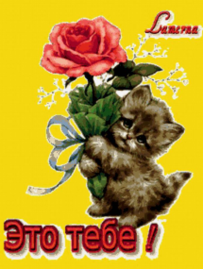 С любовью! - для тебя, подарок, роза, кошка, цветок, это тебе - предпросмотр