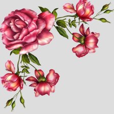 Схема вышивки «розы»