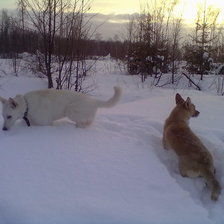 Схема вышивки «прогулка в зимнем лесу»