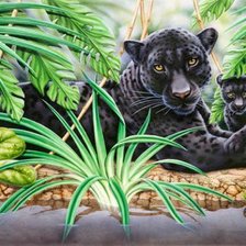 Схема вышивки «пантера и детеныш»