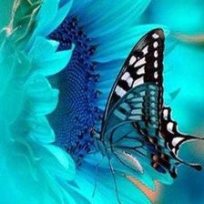 Схема вышивки «Бабочка»