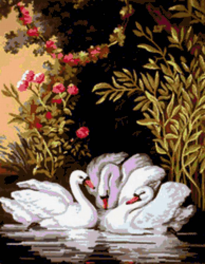 три лебедя - лебеди, лебедь - предпросмотр