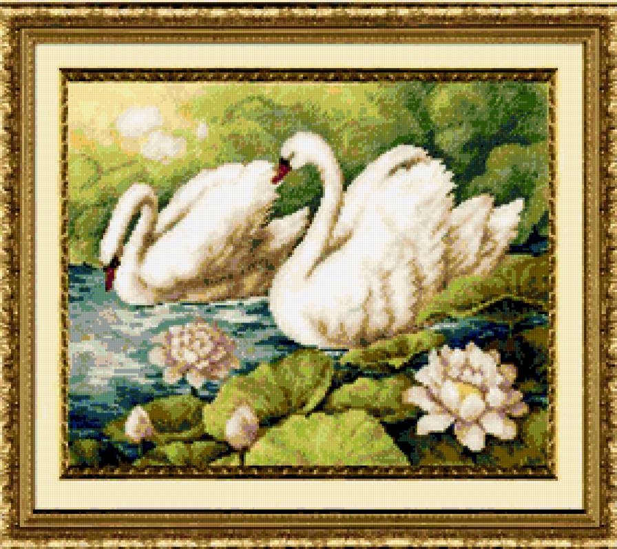 пара лебедей - лебедь, лебеди - предпросмотр