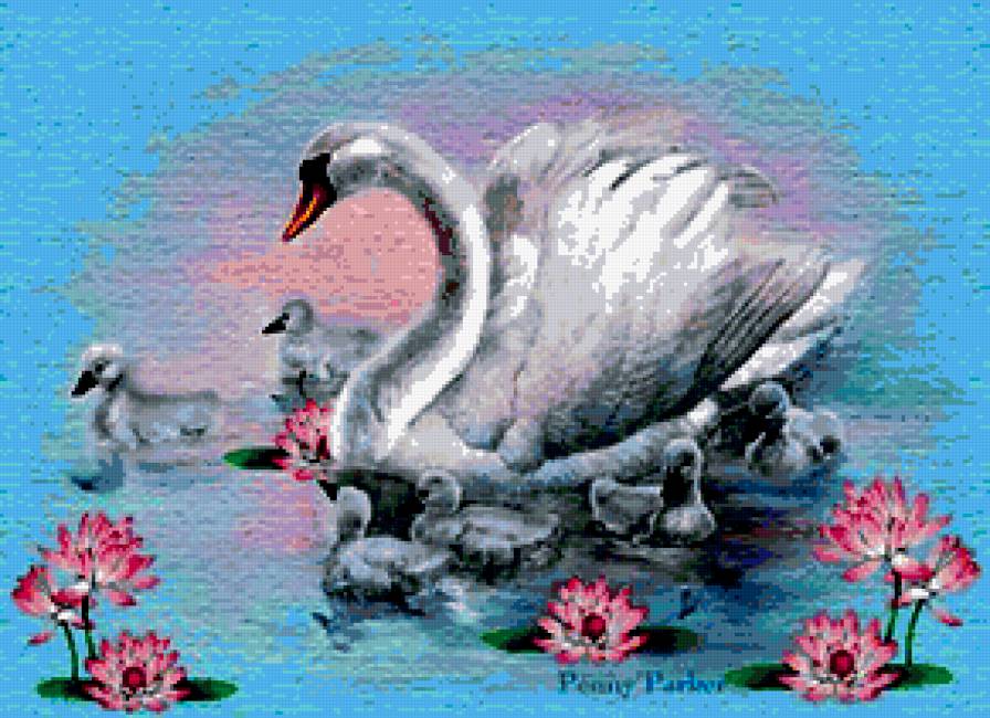 семья лебедей - лебедь, лебеди - предпросмотр