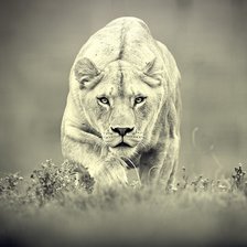 Схема вышивки «На охоте»