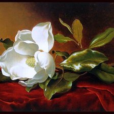 Схема вышивки «цветок»