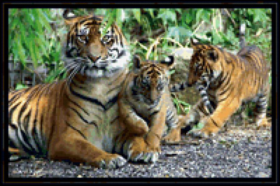 семья - семья животных, мамина забота, животные - предпросмотр