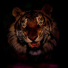 Схема вышивки «ТИГР»