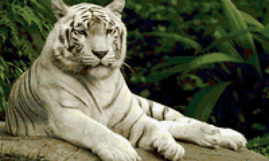 белый король... - животные, дикие животные, грустит - предпросмотр