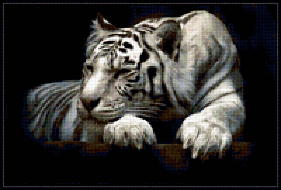 ТИГР - грустит, дикие животные, животные - предпросмотр