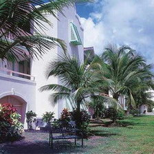 Схема вышивки «пальмы»