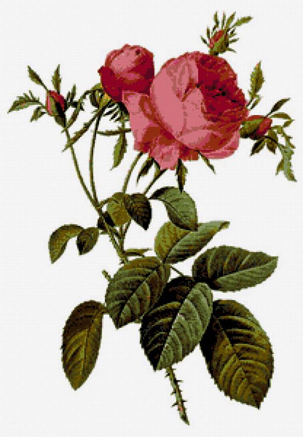 №298909 - предпросмотр