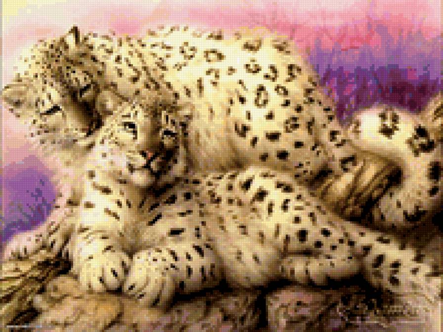 снежные ирбисы - кошки. нежность. животные - предпросмотр