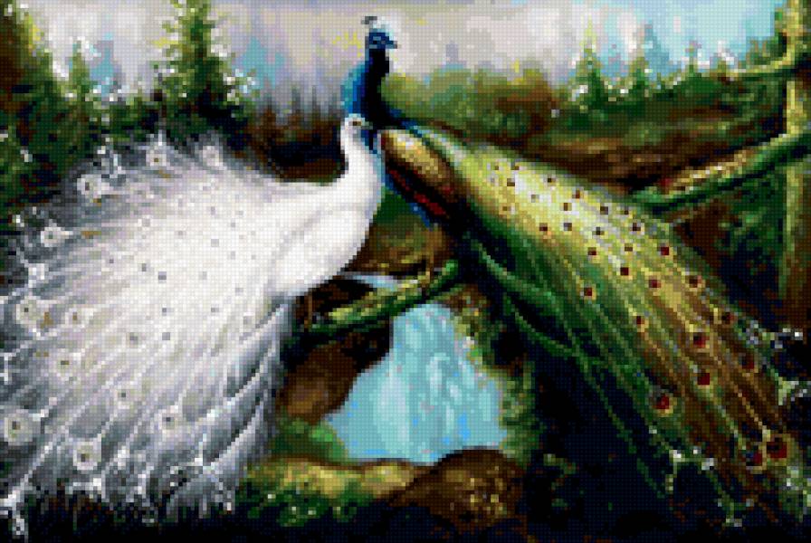 Павлины - птицы. павлины - предпросмотр