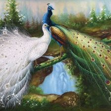 Схема вышивки «Павлины»