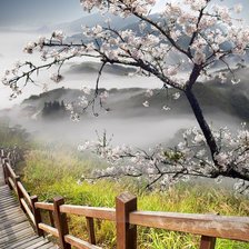 Схема вышивки «Вишневая сказка»