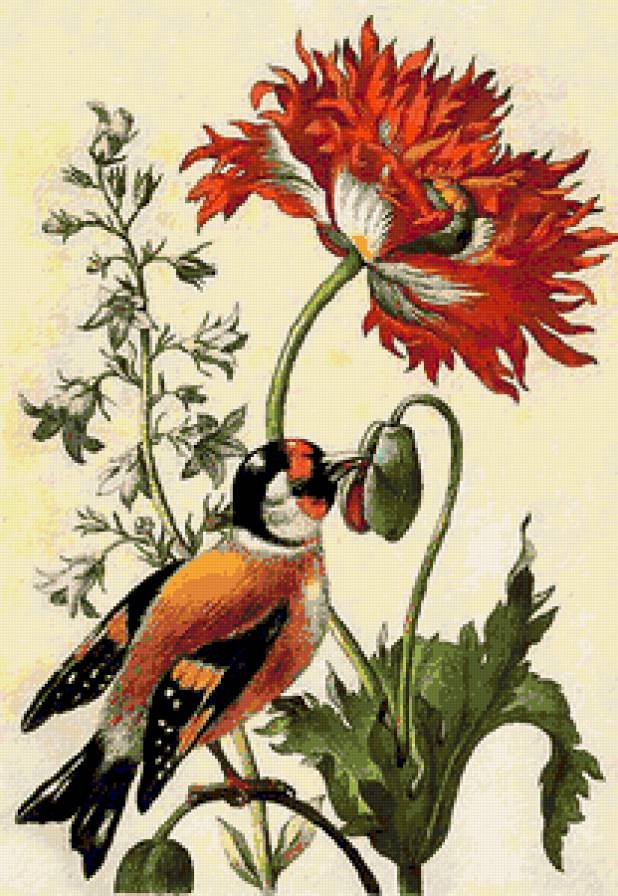 №298944 - предпросмотр