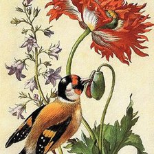 Схема вышивки «№298944»