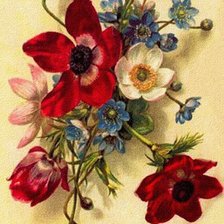 Схема вышивки «цветы»