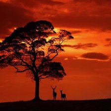 Схема вышивки «закат с оленями»