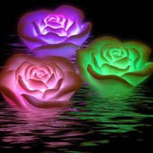 Схема вышивки «неоновые розы»