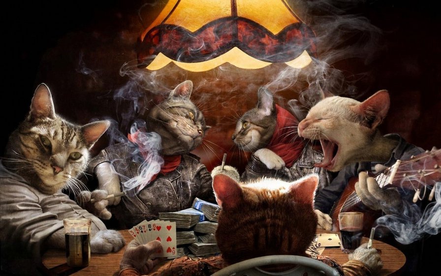 Cats in poker. - кошки, покер - оригинал
