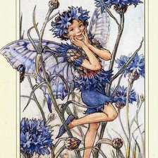 Схема вышивки «фея цветов»