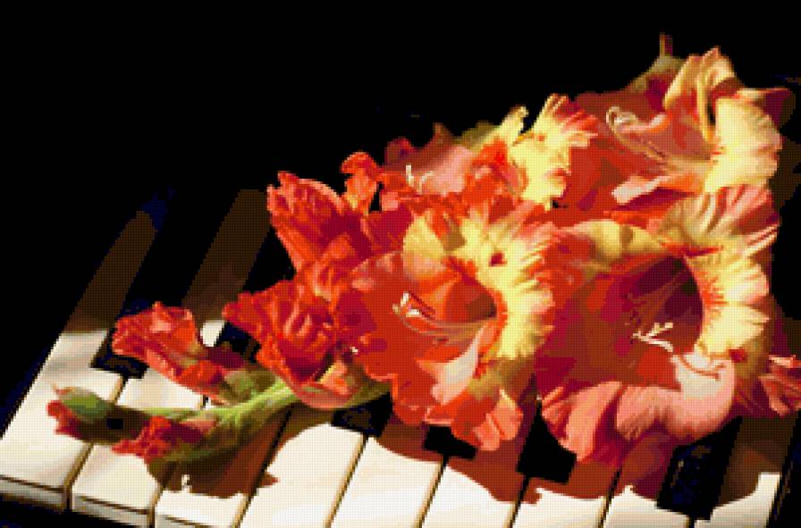 Музыка цветов - натюрморт, цветы, музыка, гладиолусы - предпросмотр