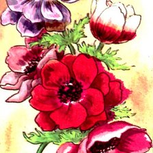 Схема вышивки «Анемоны»