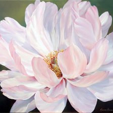 Схема вышивки «зефир»