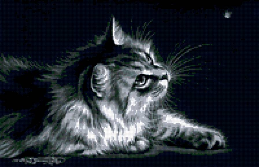 кошка - кошка - предпросмотр