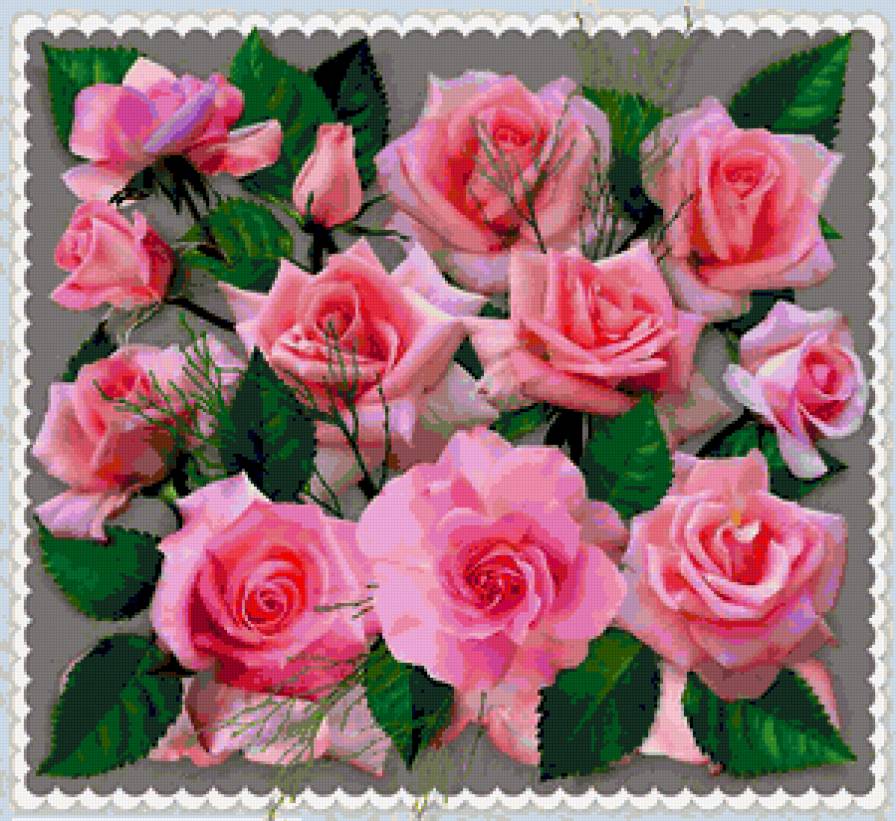 розы - предпросмотр