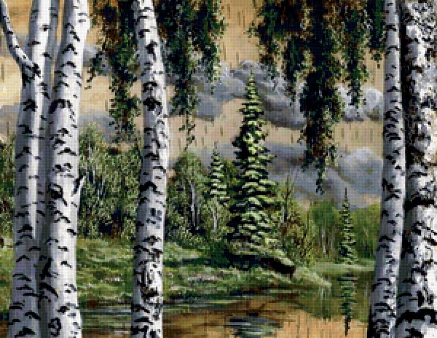 березки - пейзаж, природа, лес, лето - предпросмотр