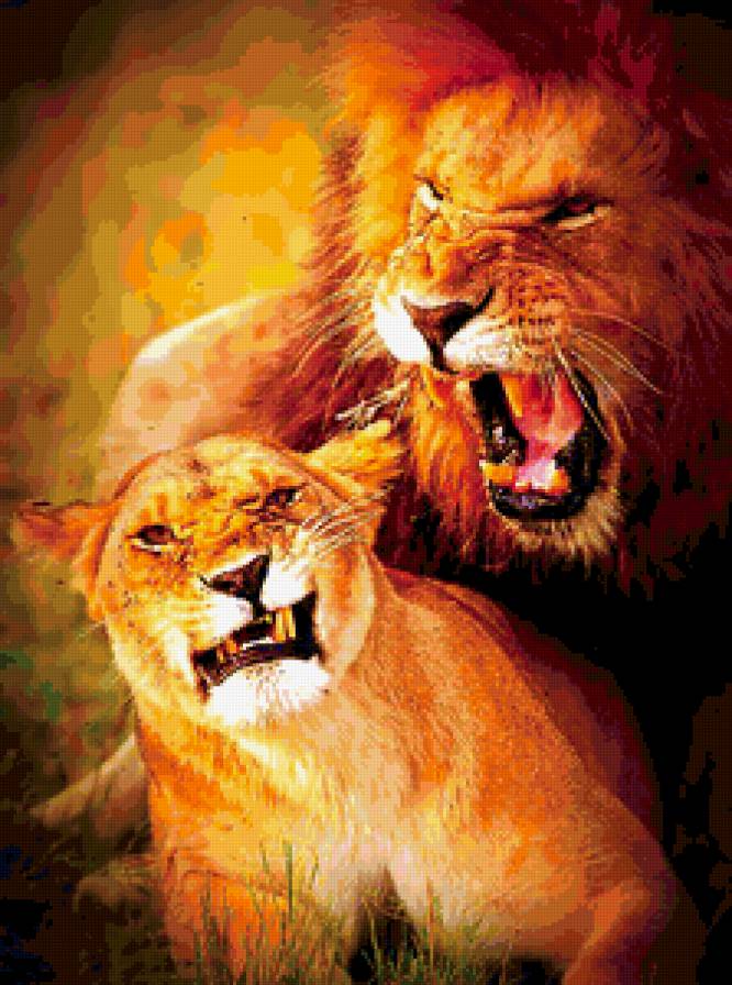 львы - кошки, красиво, львы - предпросмотр