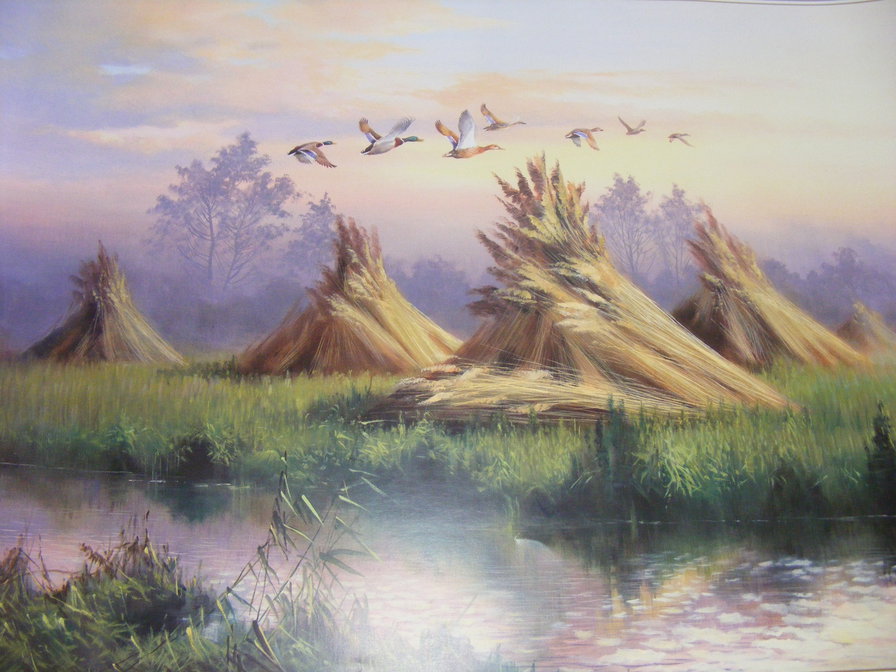 №299591 - оригинал