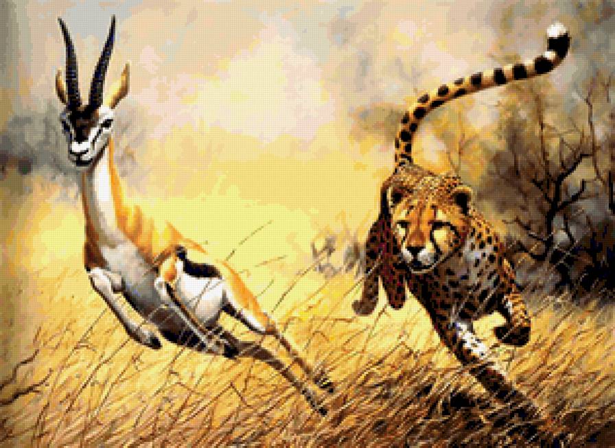 охота - косуля, гепард, звери, животные - предпросмотр