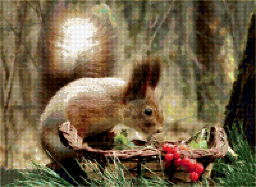 бельчонок - бельчонок, животные, белка, природа - предпросмотр