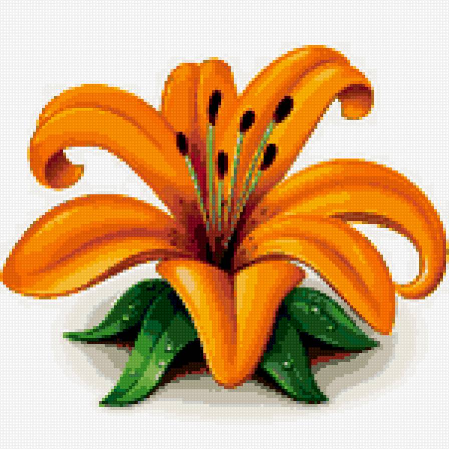 лилия - лилия, цветы - предпросмотр