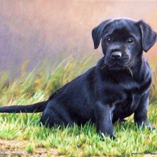 Схема вышивки «щенок»