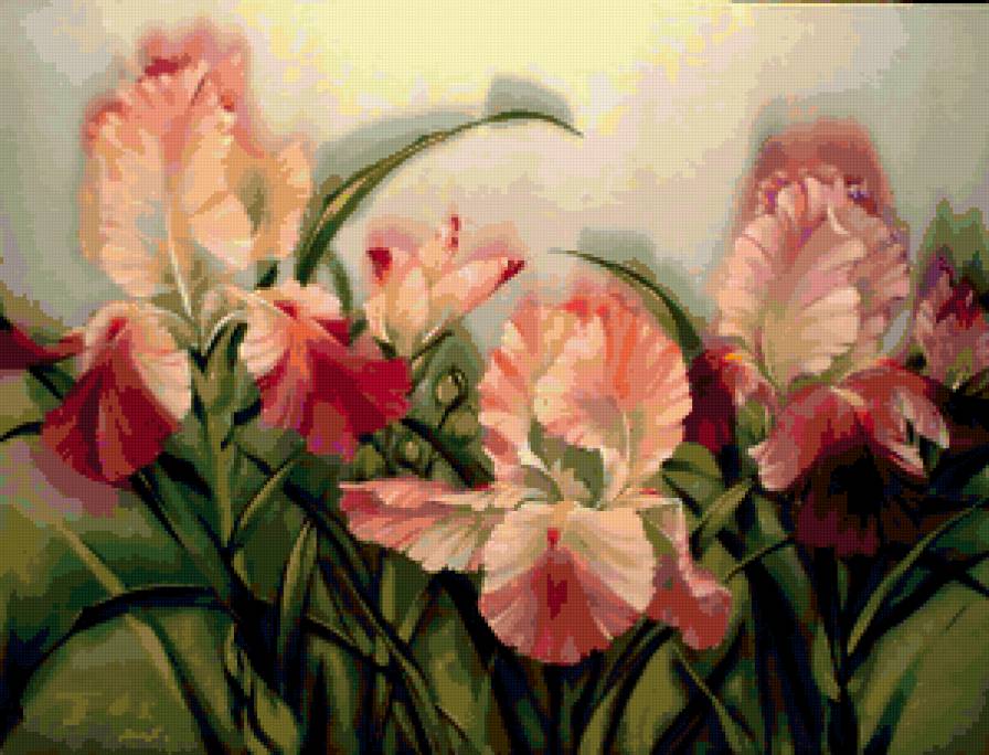 ирисы - предпросмотр