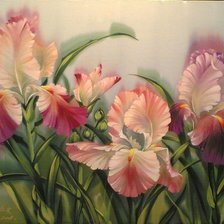 Схема вышивки «ирисы»