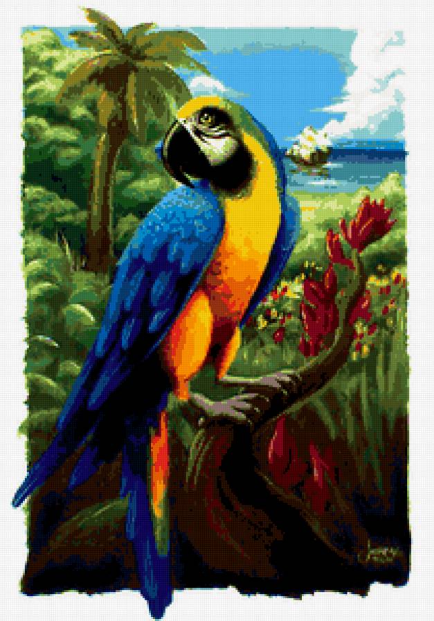 попугай - птицы - предпросмотр